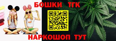 крисы Краснодар